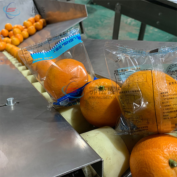 橙子包裝機方案
