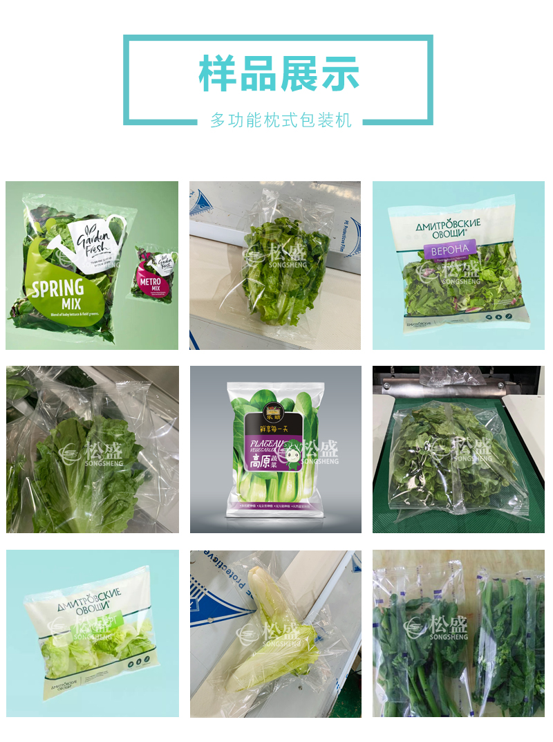 多功能蔬菜葉菜包裝機(圖1)